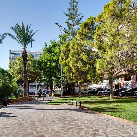 Studio Galera Torrevieja Dış mekan fotoğraf